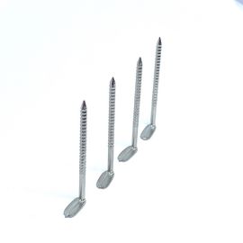 L ad angolo retto testa Ring Shank Nails inossidabile/chiodi deformi dello stinco