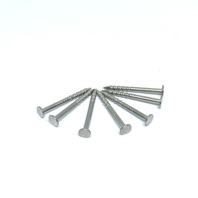 1.6X19MM Ring Shank 316 chiodi a testa piatta di acciaio inossidabile