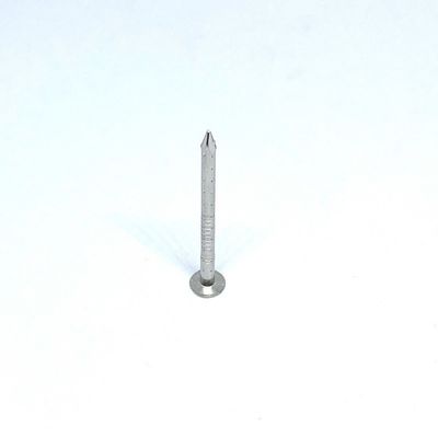 Quattro chiodi vuoti di acciaio inossidabile A4 della testa piatta 2.8X30MM dello stinco per legno