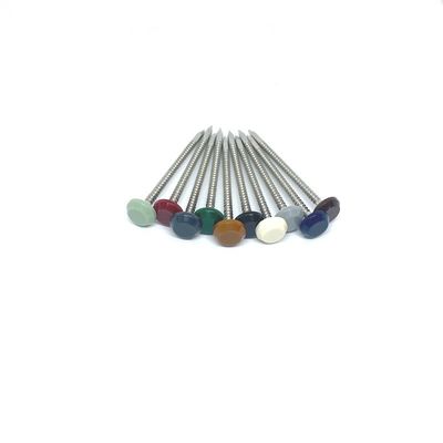 La testa di plastica della stalla UV di acciaio inossidabile A4 inchioda la testa di nylon PA6