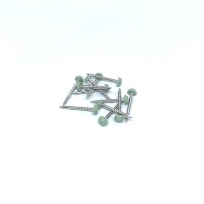 Piatti anulari di Ring Nails For UPVC del punto dello squalo di SS316 25MM