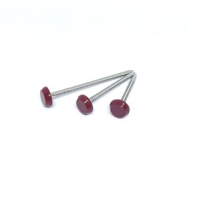 Acciaio inossidabile A2 Ring Nails Nylon anulare PA6 di 65MM
