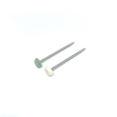 Di plastica libero di manutenzione di acciaio inossidabile intestato inchioda la lunghezza di nylon di PA6 50MM
