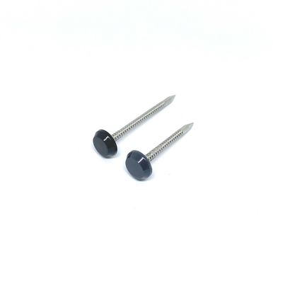 La testa di plastica grigia SUS316 inchioda con Ring Shank Shark Point anulare