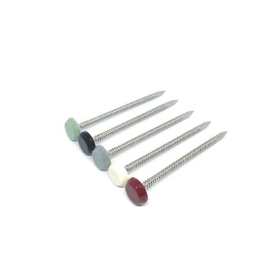 Chiodi capi di plastica di nylon di lunghezza di 65MM con lo stinco anellato