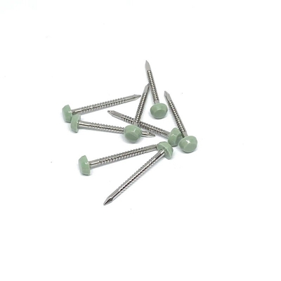 Acciaio inossidabile A2/A4 Ring Shank Plastic Head Nails 2.0X30mm