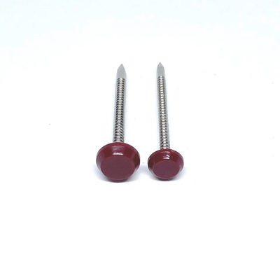 Ring Shank Plastic Head Nails per l'acciaio inossidabile di lunghezza A4 della costruzione 50mm