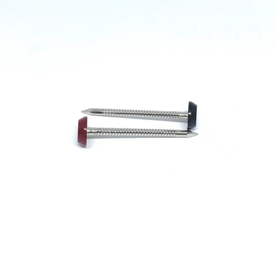 Ring Shank Plastic Head Nails anulare per tetto 3.0X50MM