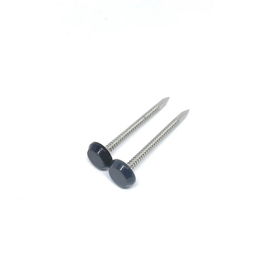 A4 il nero 50MM grigi antracite di acciaio inossidabile Ring Shank Plastic Head Nails
