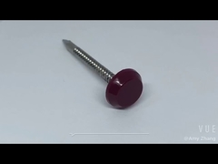 Chiodo con testa in plastica in acciaio inossidabile